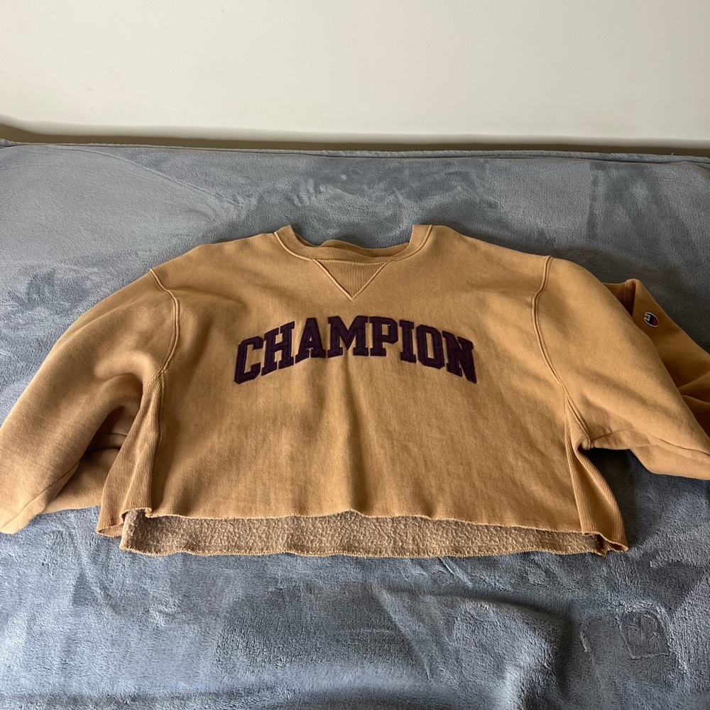 Champion Cropped Sweater